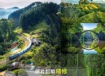 麻d传媒囯大象-麻d传媒与国之大象，文化与商业的和谐共生